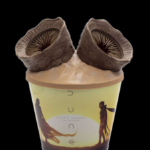 dune
