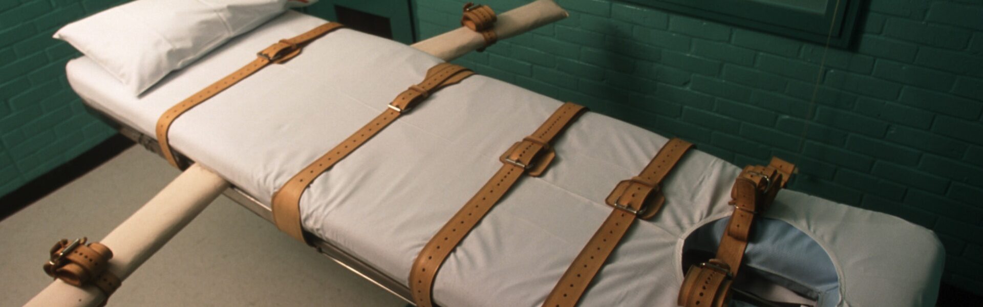 Christa Pike unconscious health update botched failed execution Tennessee ventilator death row