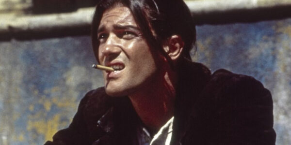 desperado