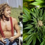 Who's Fans Transform Baseball Stadium into Pot Farm
