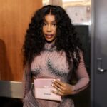SZA Purchases Artist's Sculpture Following Online Troll's Critique